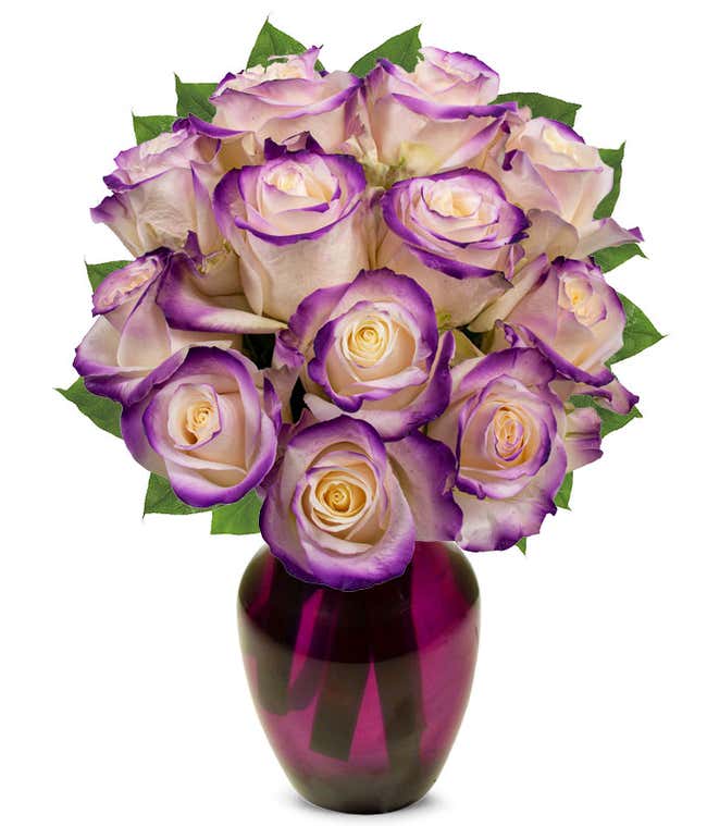 One Dozen Royal Roses
