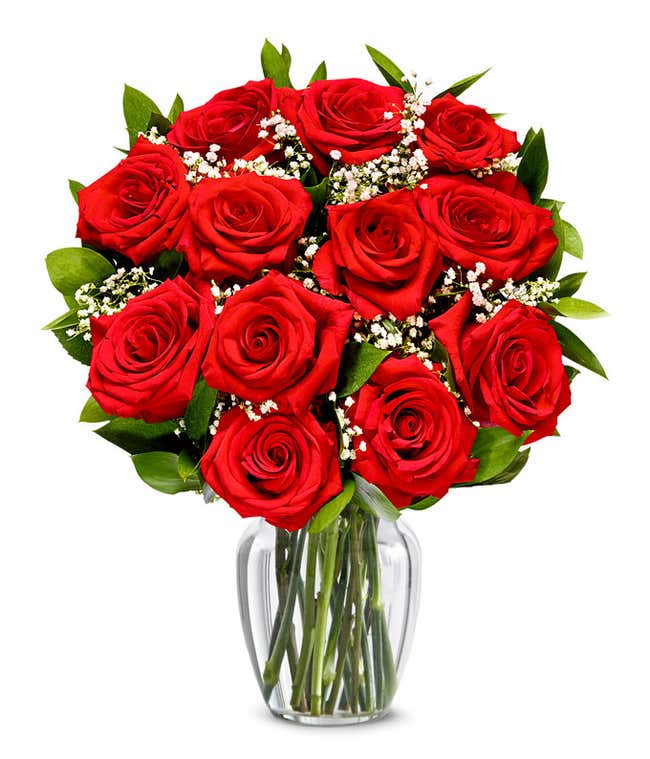 Romantic Starry Night Roses