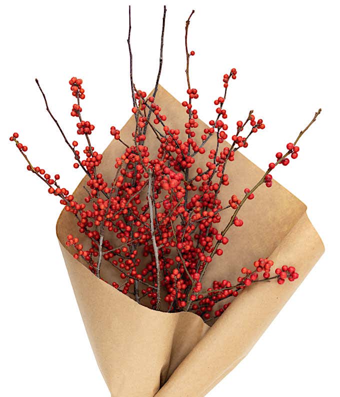 Berry Bundle