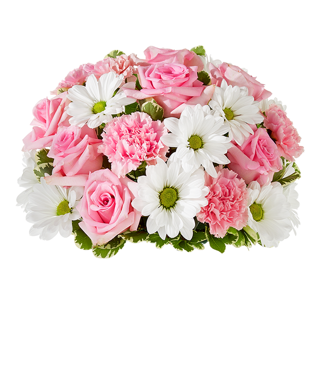 Partial image of Dreaming in Daisies Bouquet - Deluxe without vase.